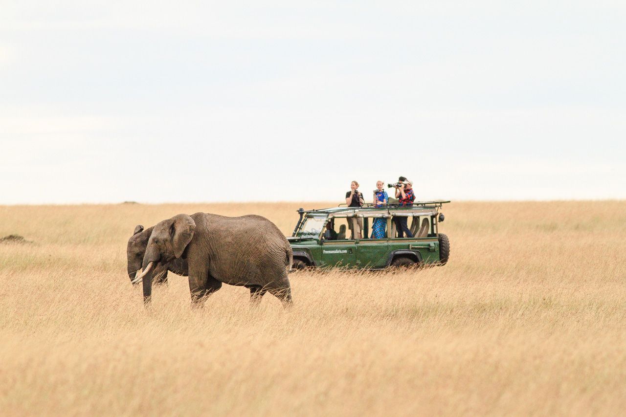 Image number 1 for 7 Days Tarangire, Serengeti And Ngorongoro Safari