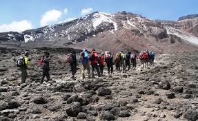 background image for - Machame Route Kilimanjaro Day Hike