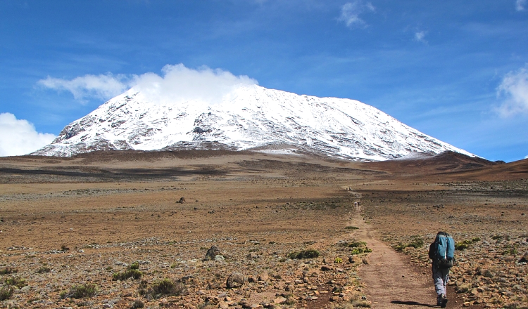 background image for - 6 Days Climb Kilimanjaro Rongai Route