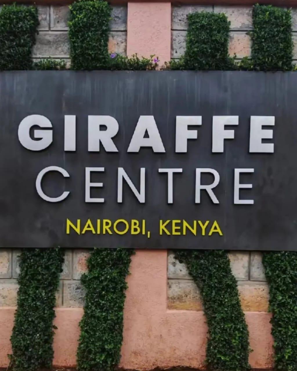 Image number 1 for 1 Day Nairobi Excursion