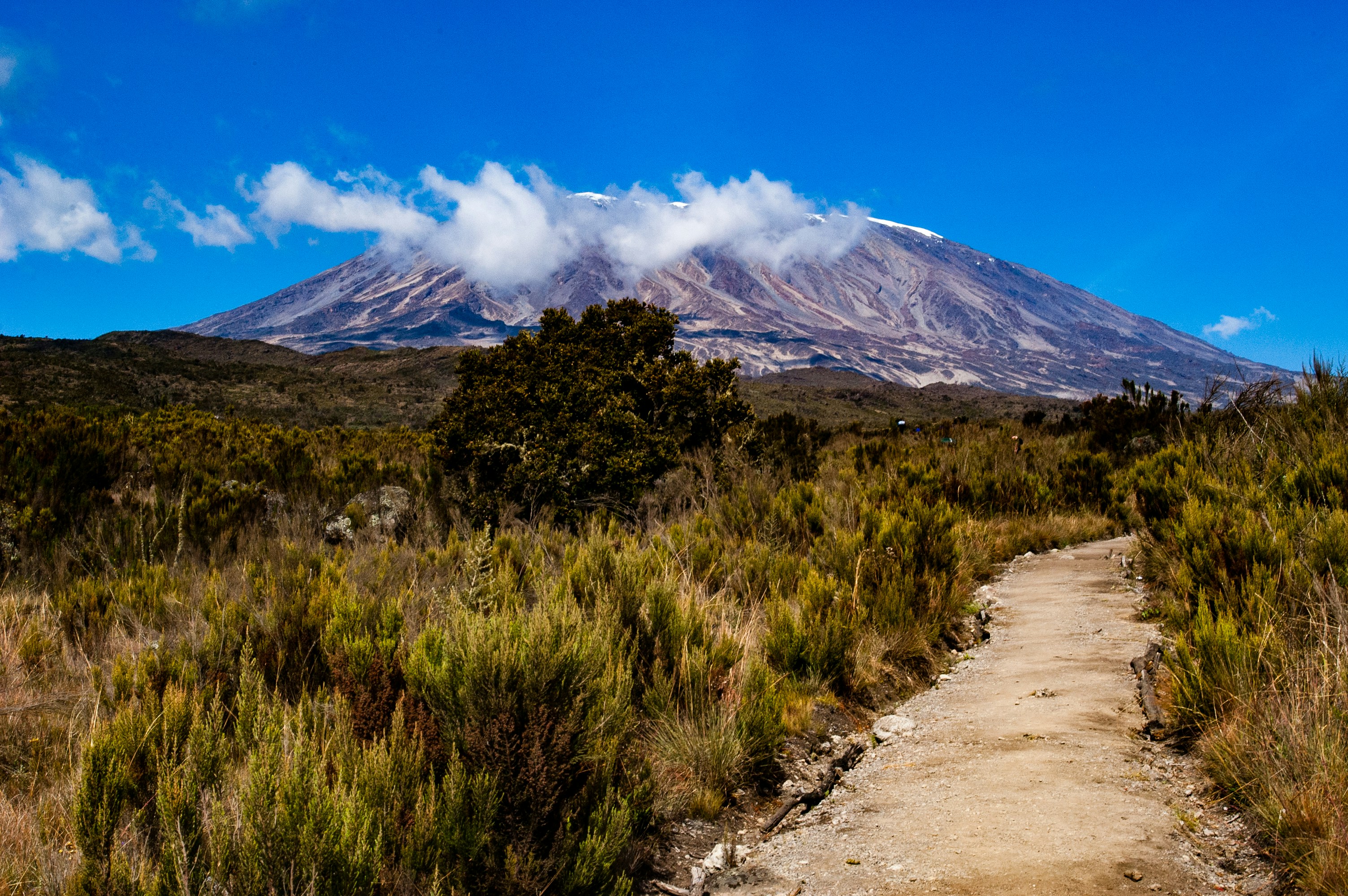 Image number 2 for Kilimanjaro Climbing Via Umbwe Route