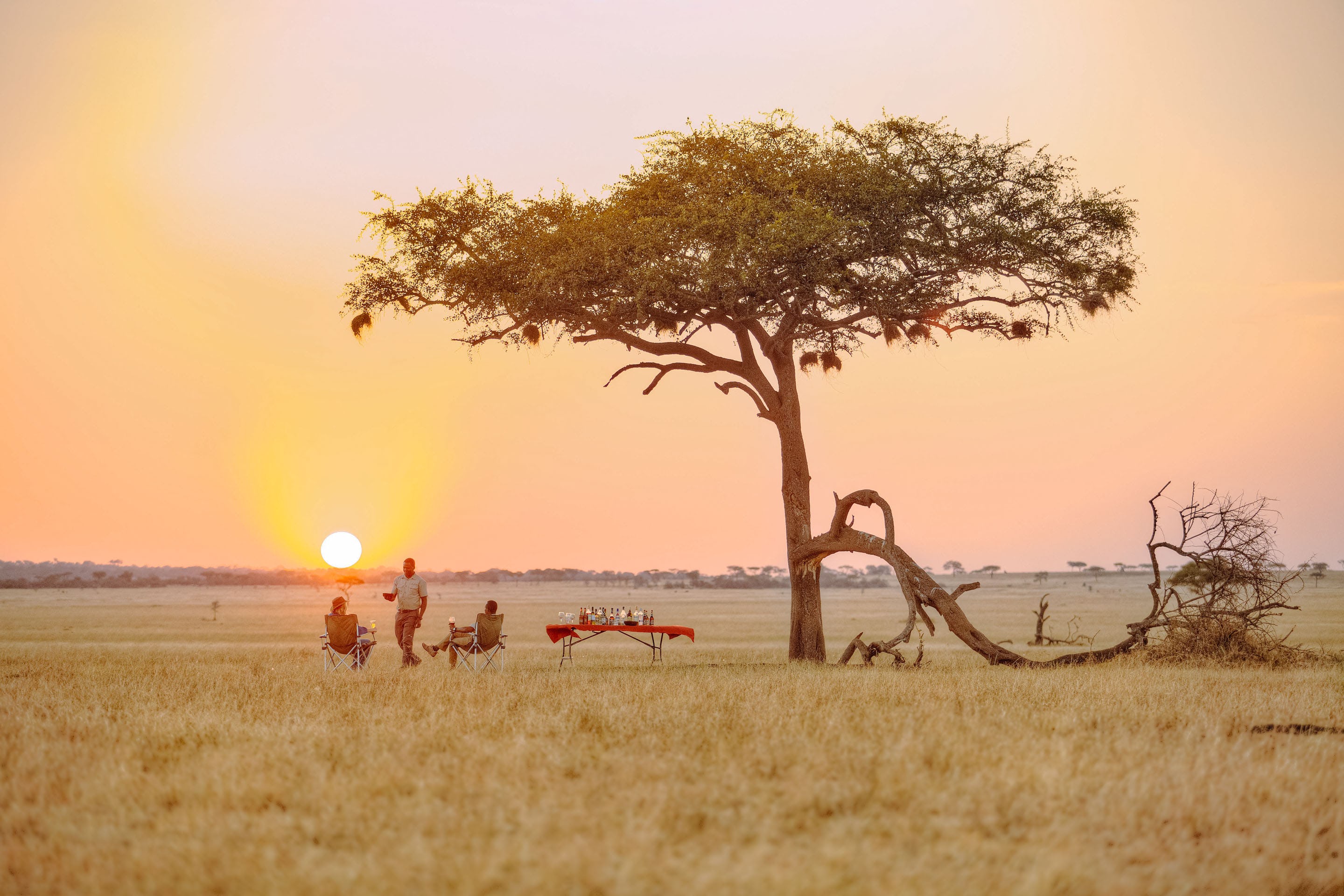 background image for - 5 Days Southern Tanzania Safari