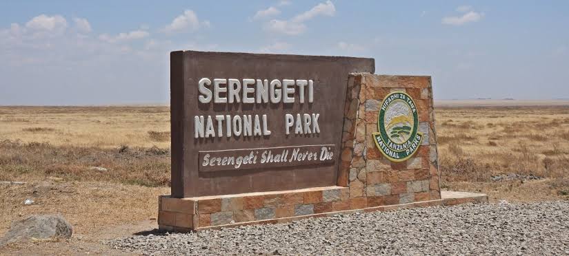 Image number 2 for  Mid-range Shared Classic Wilderness Safari