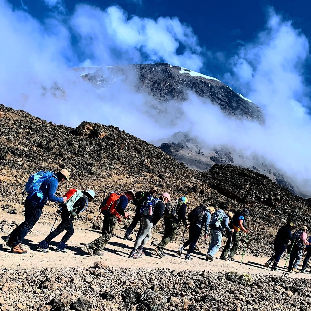 Image number 1 for 8-Day Mount Kilimanjaro Climb – Lemosho Route | Tanzania