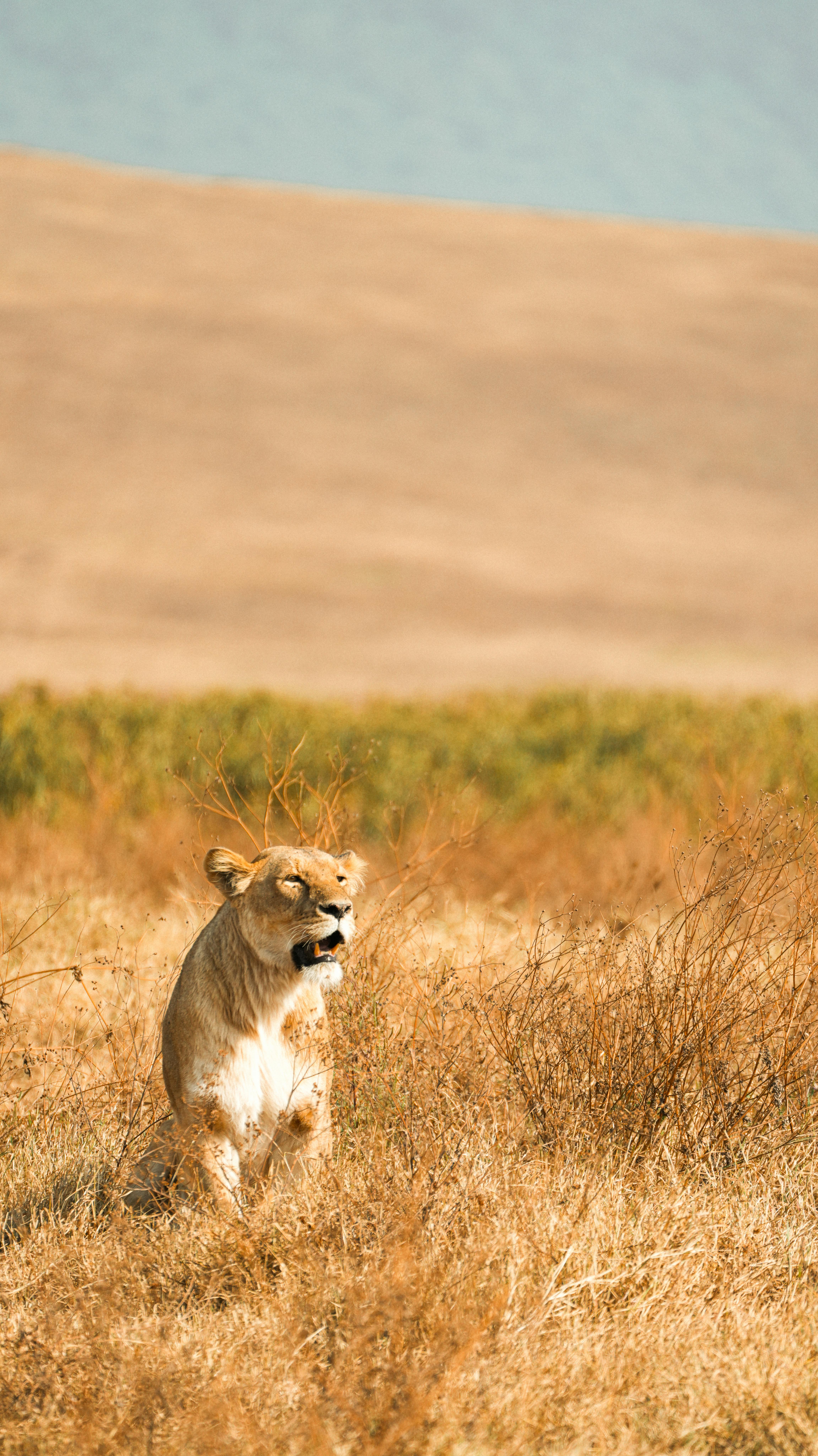 Image number 6 for 3 Day: Express Safari 