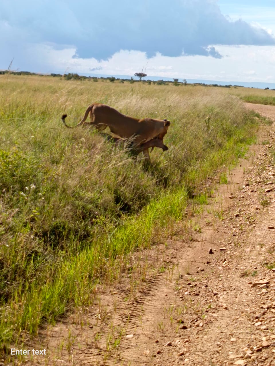background image for - 14 Days Kenya Tanzania Safari