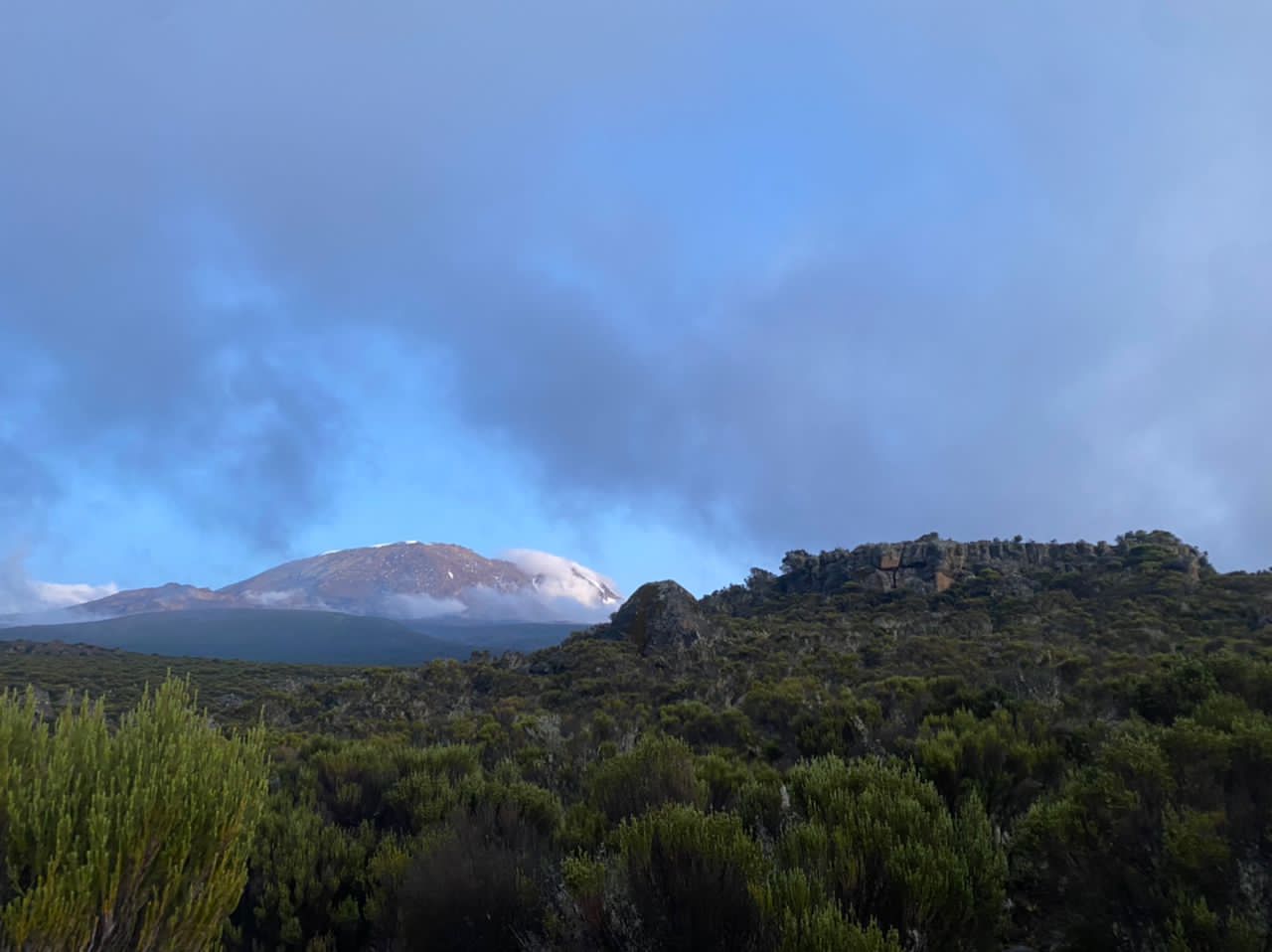 Image number 11 for Day Trip To Mount Kilimanjaro Via Londorosi Gate 