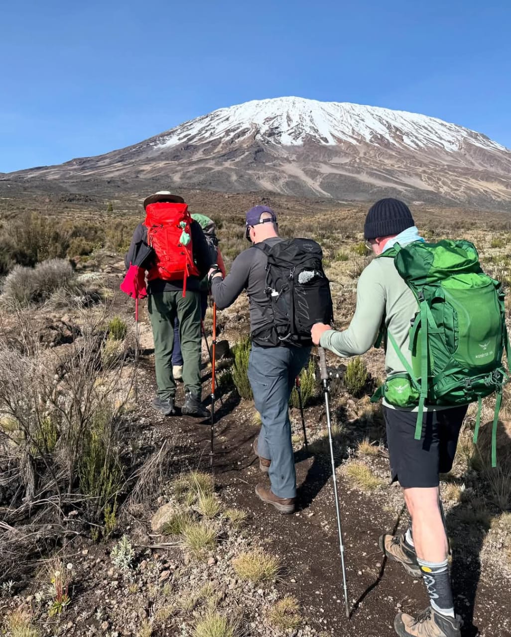 Image number 2 for Lemosho Route Via Stella Point