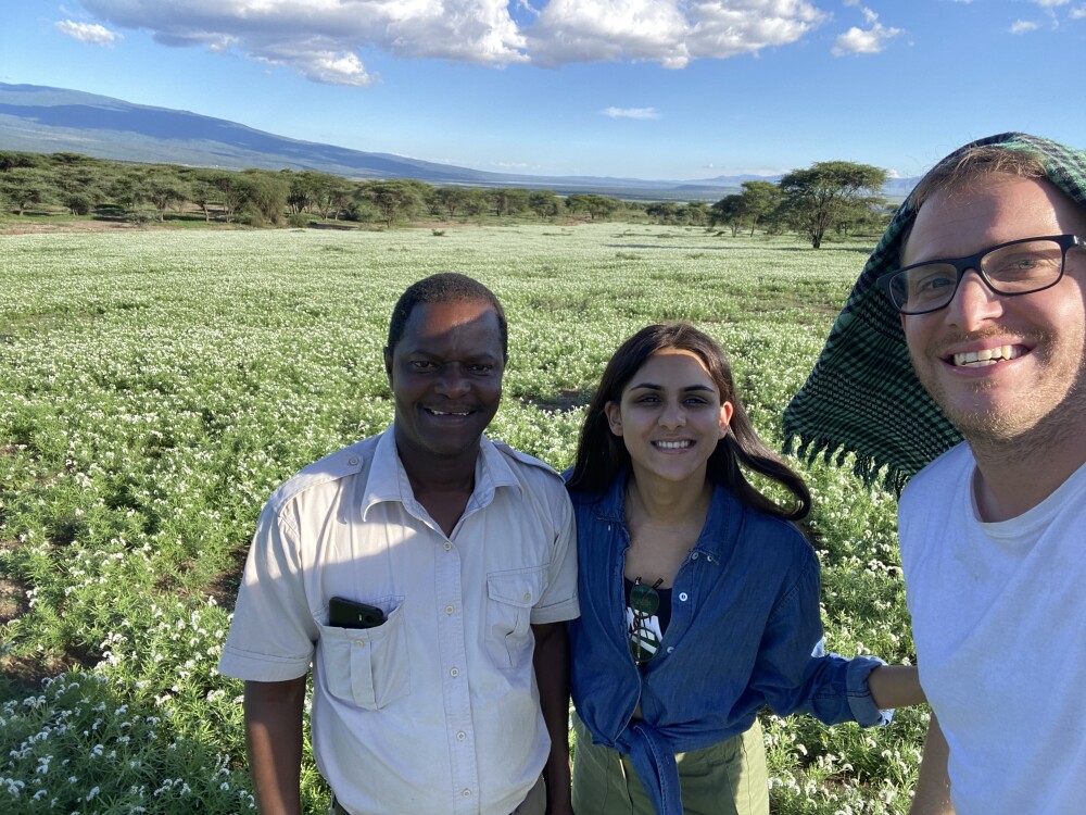 background image for - 4 Days Join Group Safari Tanzania