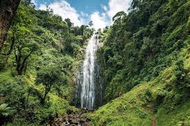 Image number 2 for Tanzania Safari Adventure