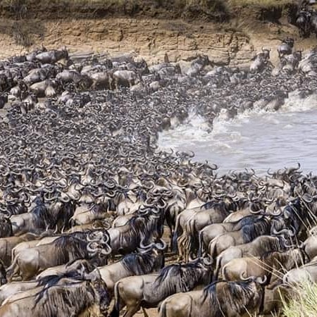Image number 2 for 6 Days Safari- Tarangire Serengeti & Ngorongoro Crater