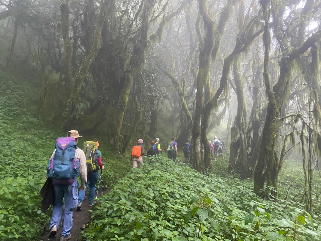 Image number 3 for Four Days Three Night Mount Meru Climbing 