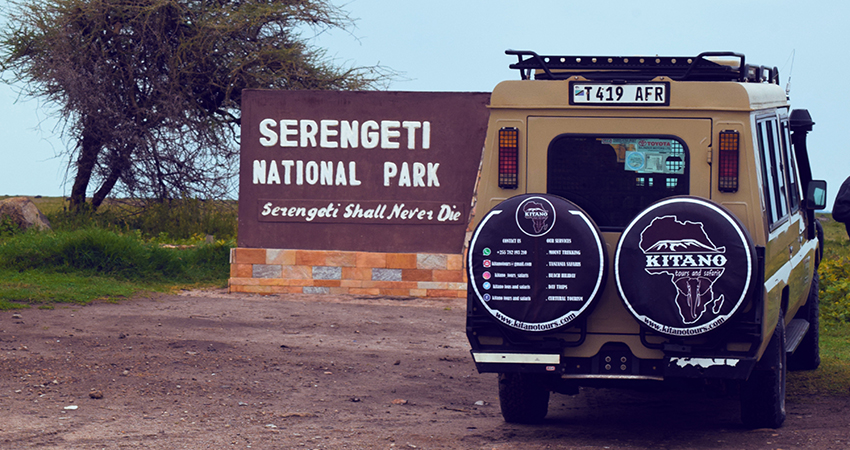 background image for - 5 Days Sharing Tanzania Safari Serengeti