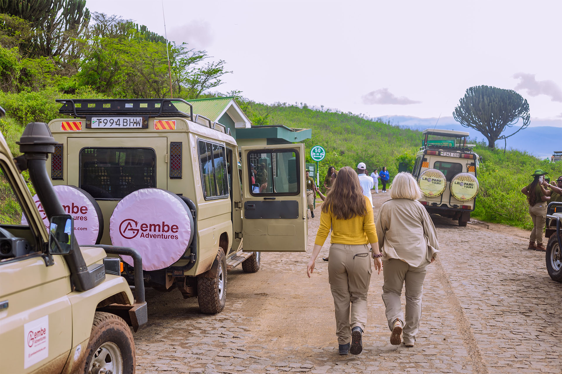 background image for - 8 Days Honeymoon Safari Vacations