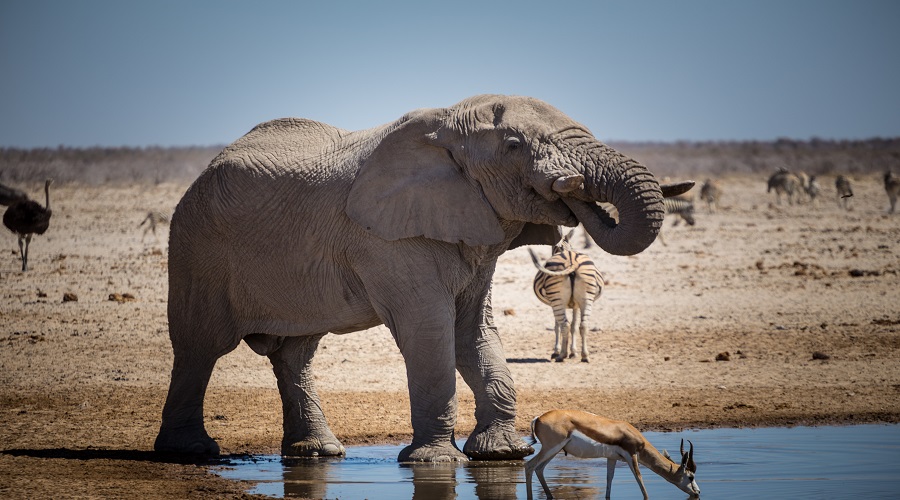 Image number 3 for 2 Days Tanzania Joining Safari 2026-2027