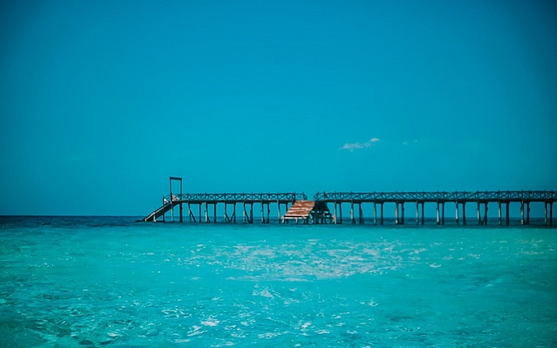 Image number 3 for Day Trip To Mnemba Island Snorkeling Tour 2026-2027