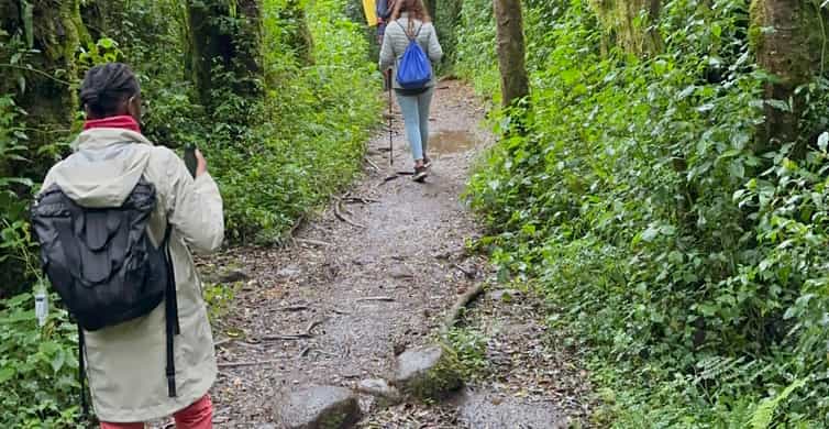 Image number 3 for Mount Kilimanjaro Day Tour