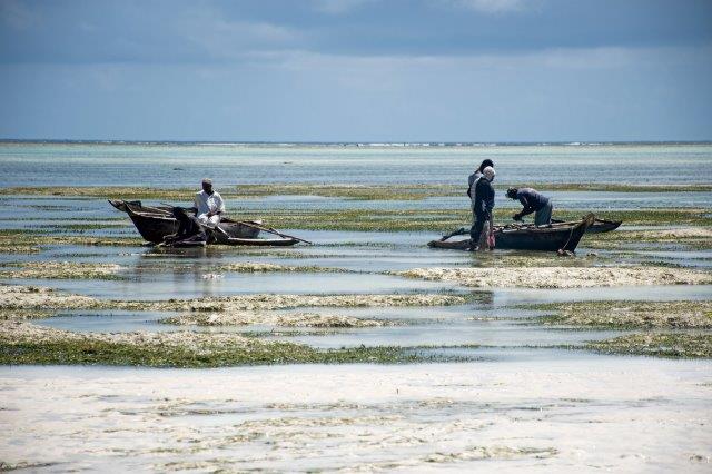 background image for - 8 Days - Zanzibar Beach Holidays