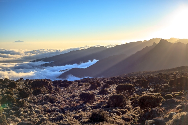 background image for - 7 Days New Year Eve Lemosho Route