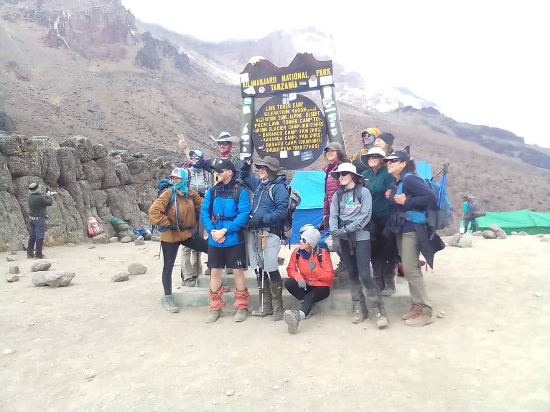 Image number 1 for 8-Day Kilimanjaro Northern Circuit Route