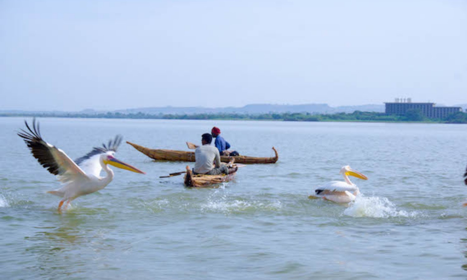 Image number 11 for 14-Day Explores Northern And Southern Part Ethiopia Tour