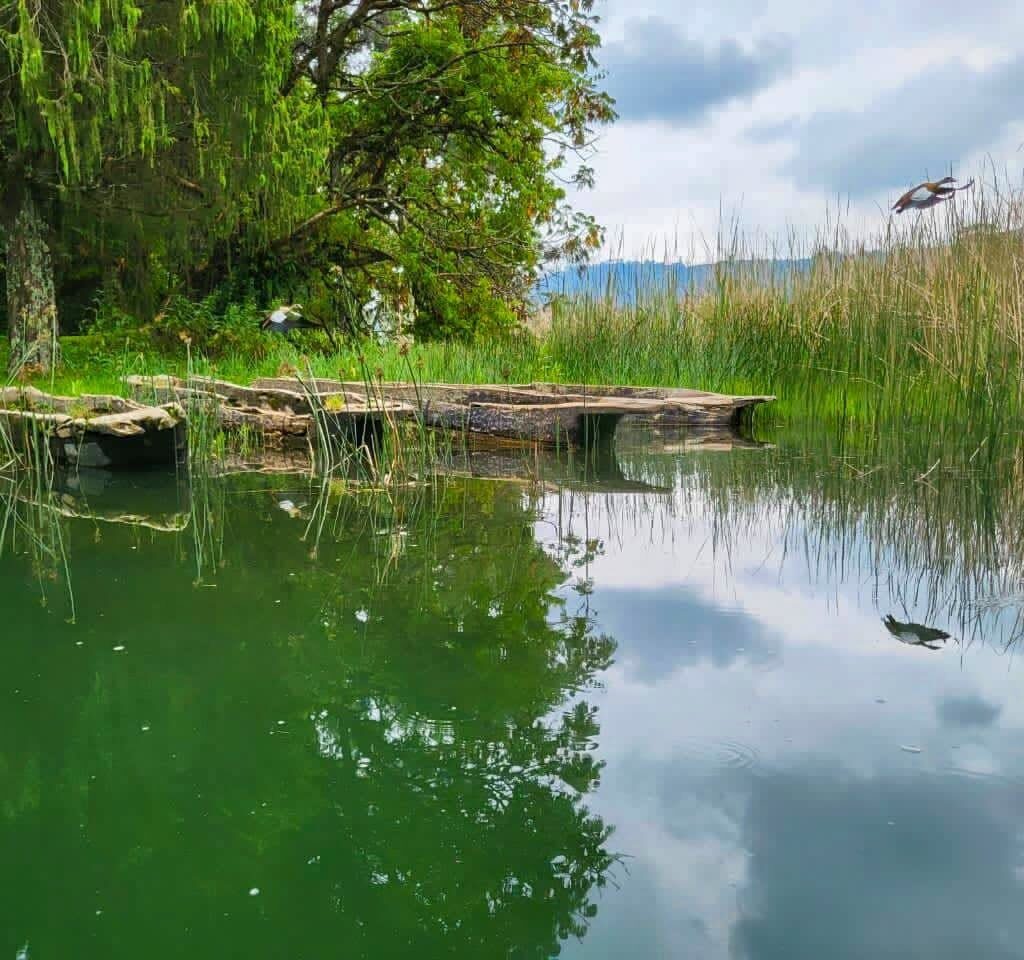 Image number 6 for Wenchi Crater Lake Tour | 2-Day Nature & Hiking Adventure