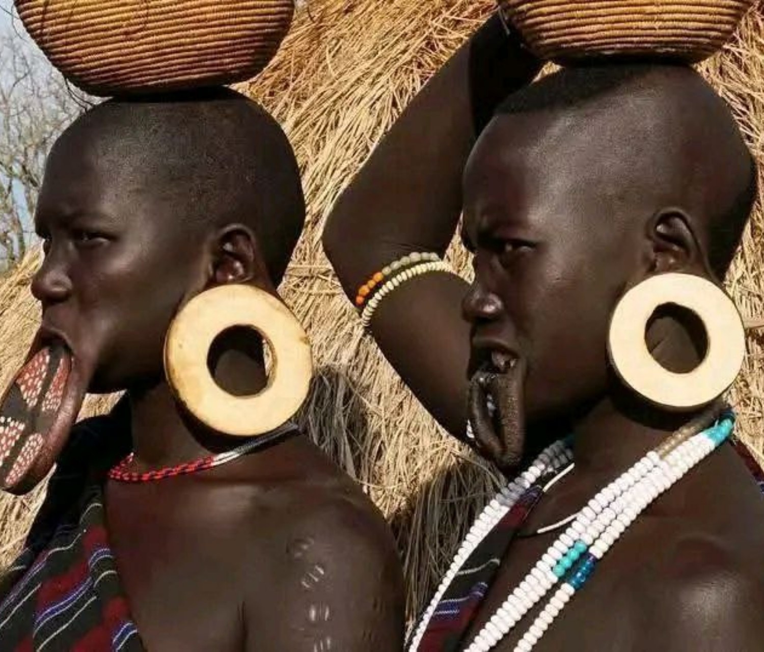 Image number 10 for 5 Days Omo Valley Cultural & Tribal Tour 