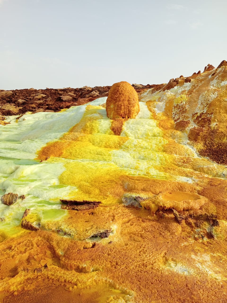 background image for - Awash Park & Danakil Depression Tour