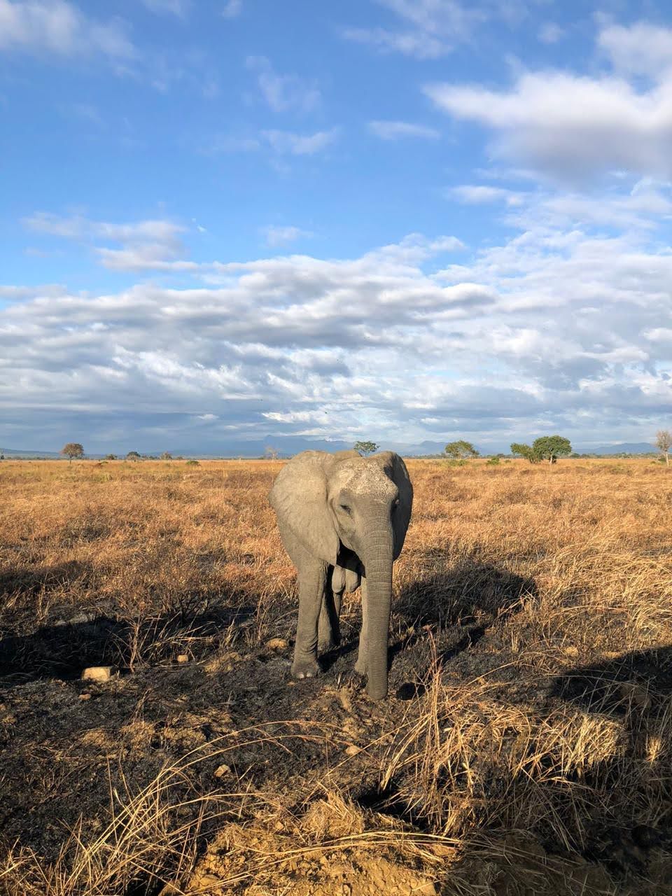 background image for - Test Of Northern