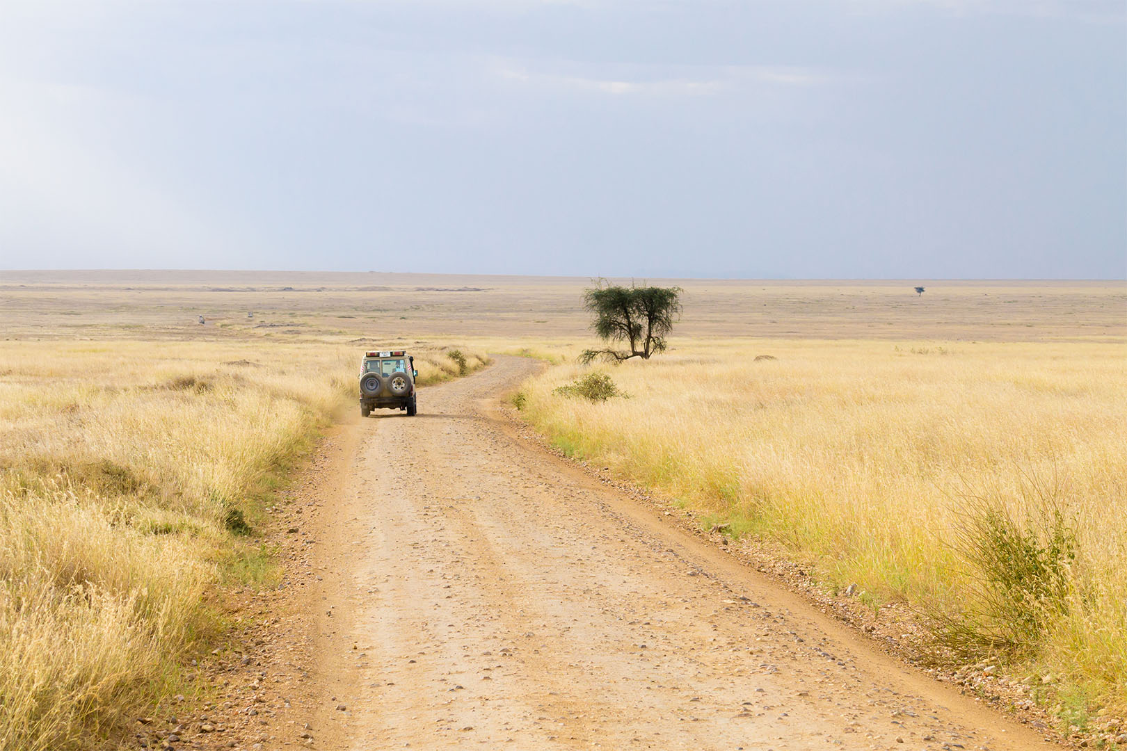 Image number 2 for 06 Days Camping Safari In Northern Zone