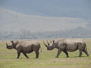Image number 5 for Private Midrange Safari Northern