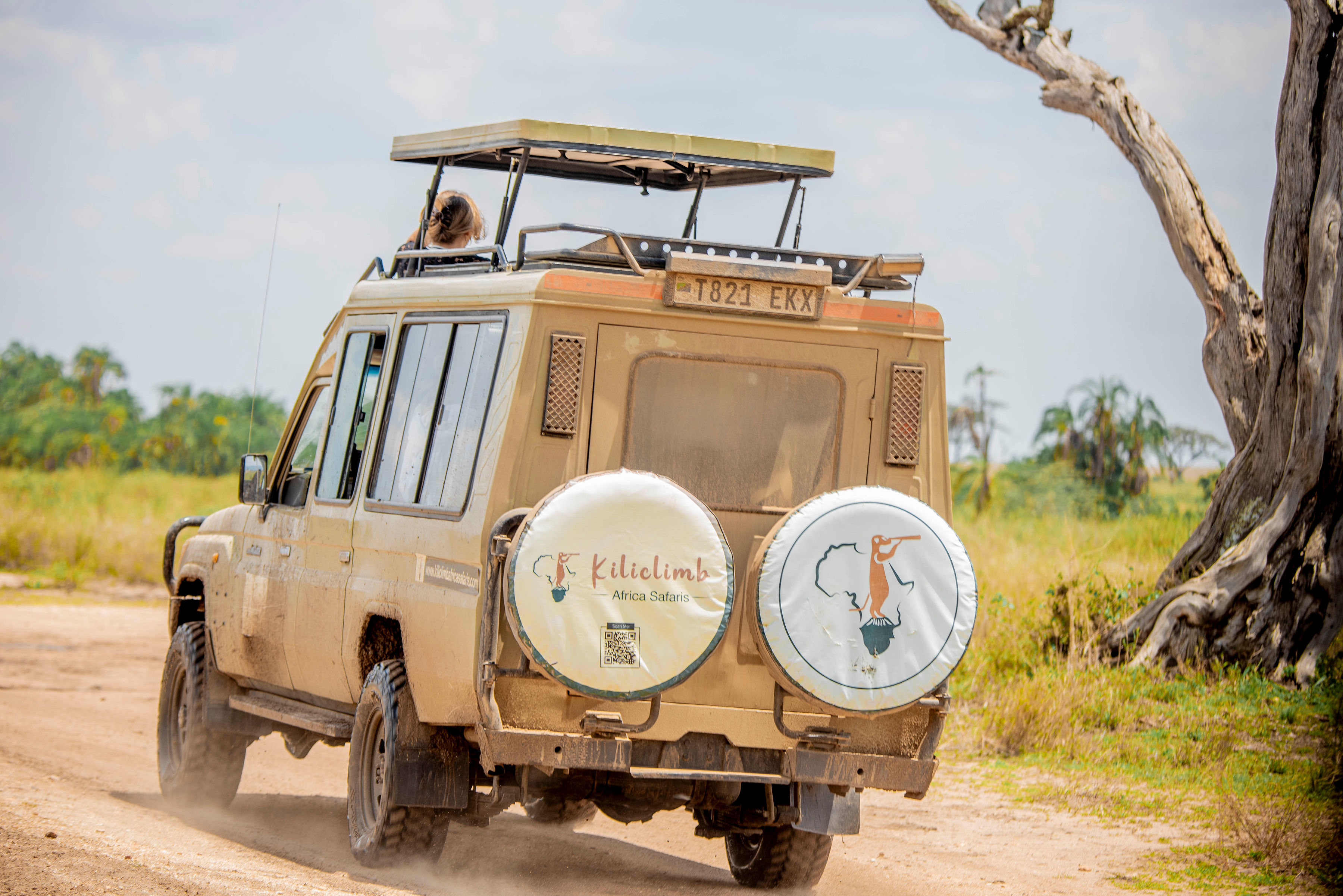 Image number 8 for Tanzania Luxury Safari In Tanzania Tarangire,serengeti And Ngorongoro 