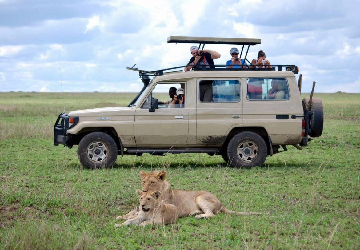 Image number 5 for 3- Day Uganda Gorilla Trekking Tour 
