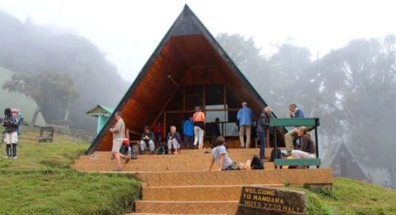 background image for - Day Trip To Mount Kilimanjaro Via Marangu 