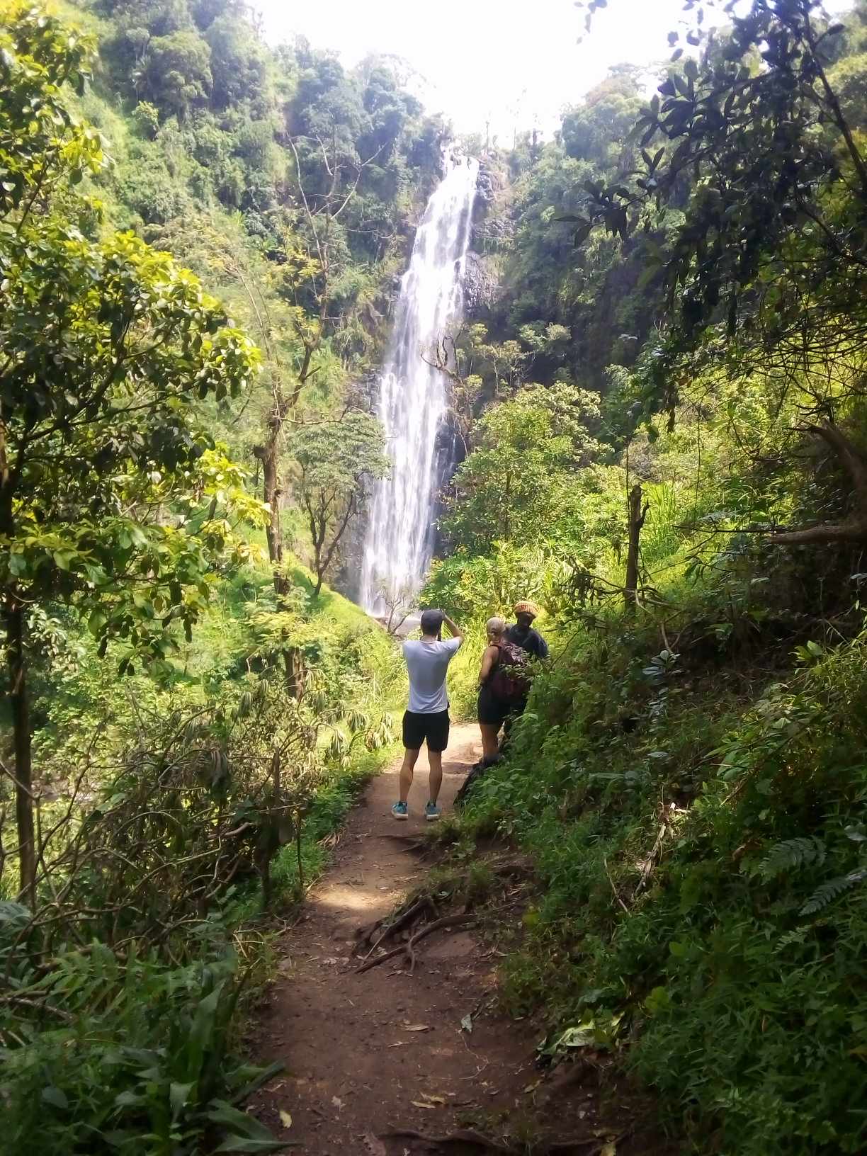 background image for - Day Trip To Materuni Waterfall And Coffee Tour.