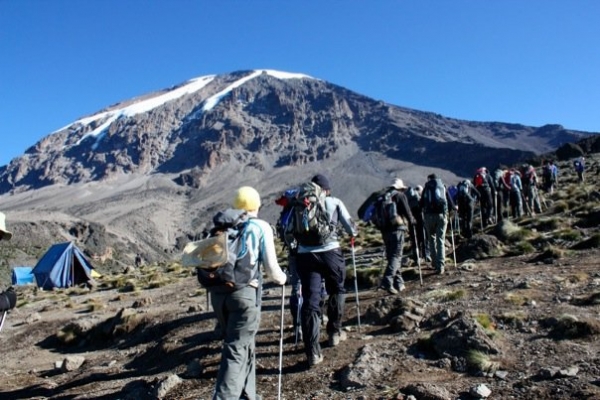 background image for - Kilimanjaro Trekking Marangu Route