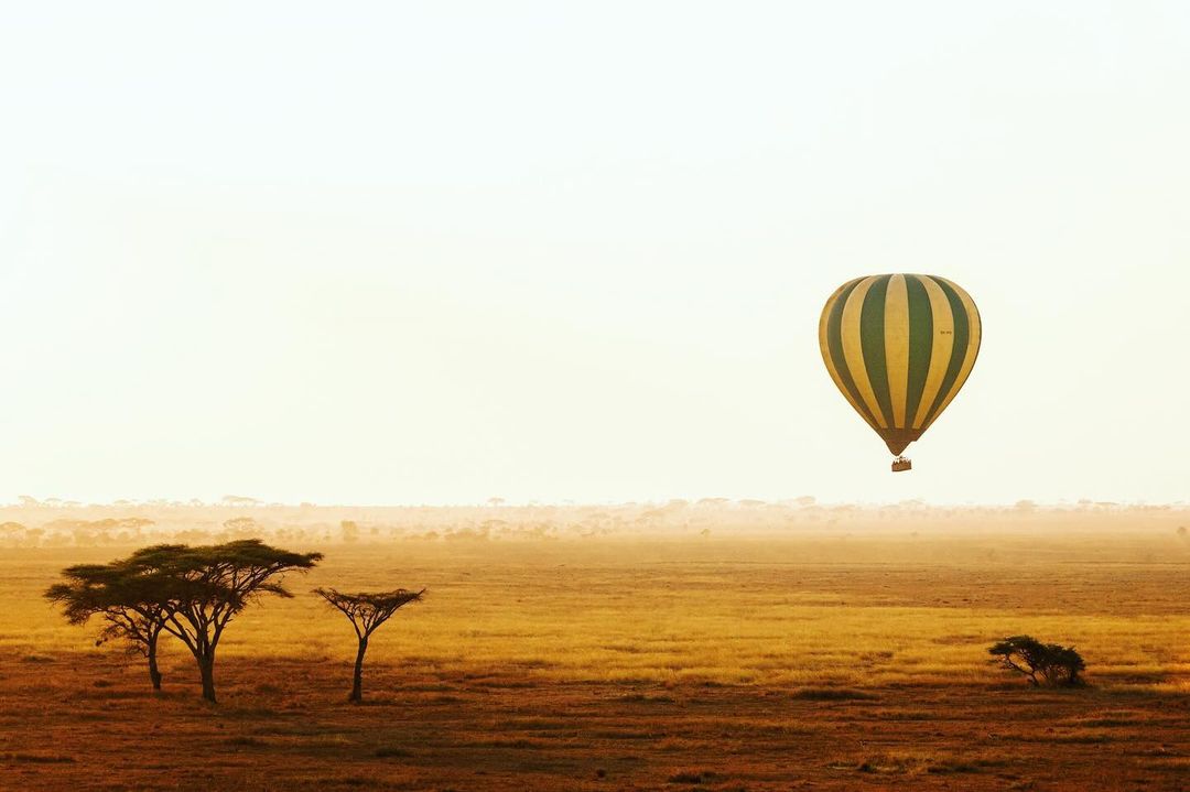 Image number 2 for Lake Manyara, Ngorongoro, Serengeti And Tarangire