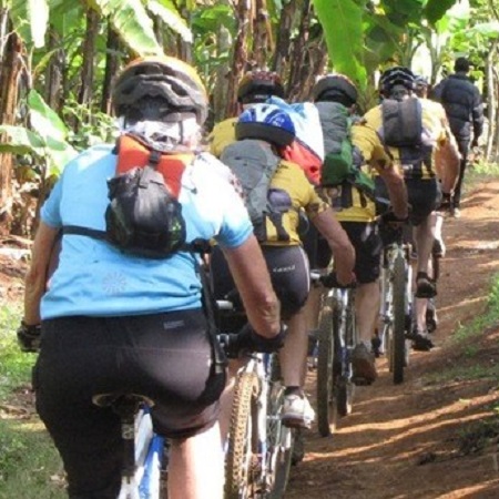 background image for - 1-Day Kilimanjaro Bike Tour