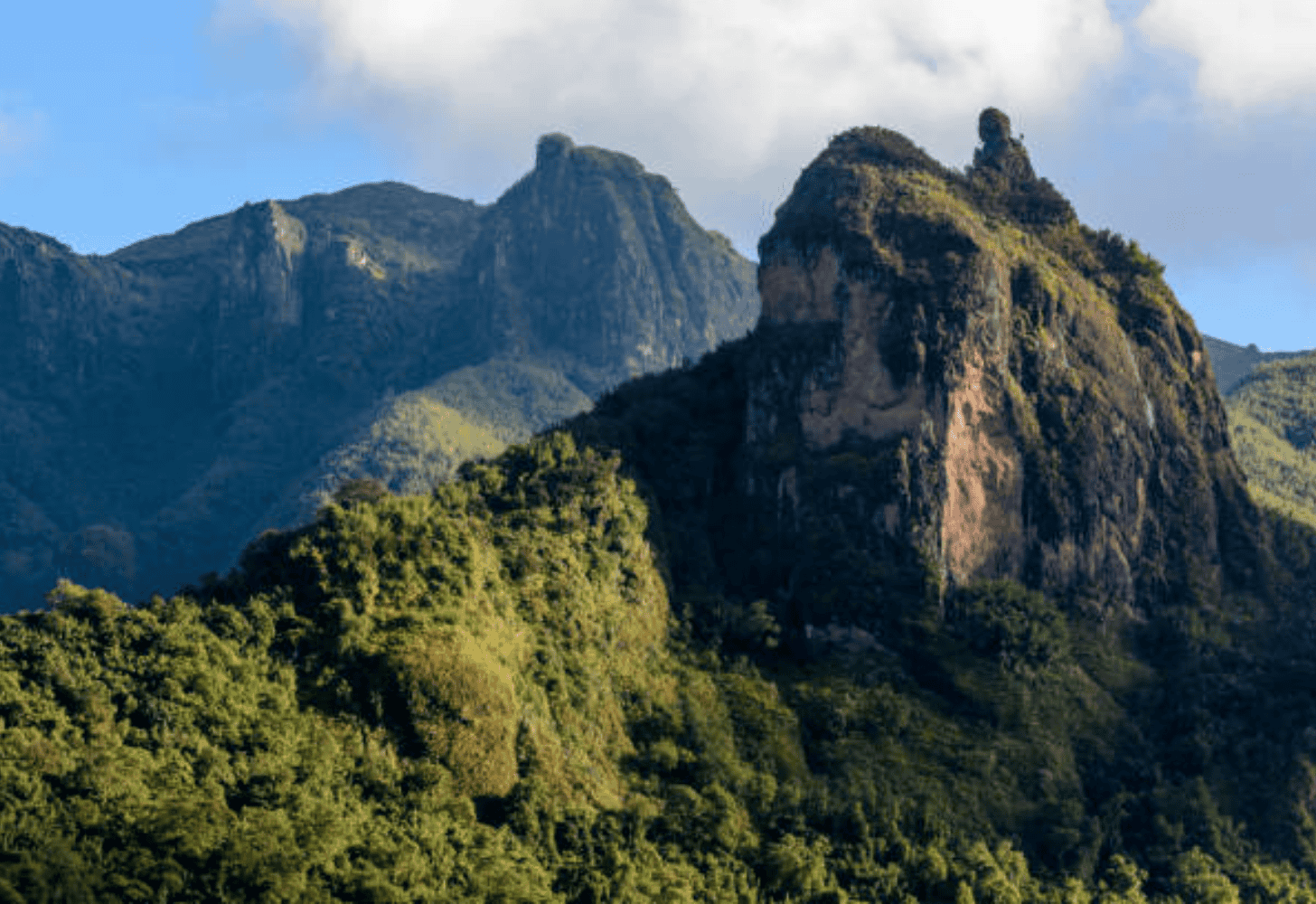 Image number 1 for Bale Mountains Adventure: Wildlife And Wilderness