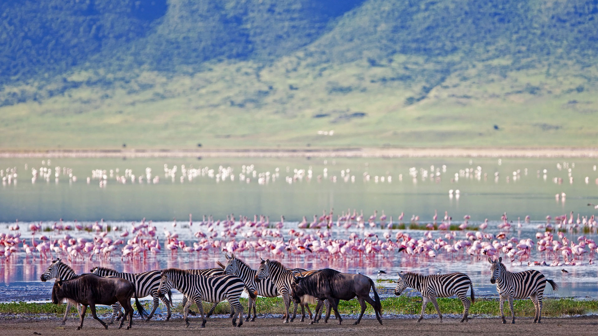 background image for - Tarangire , Serengeti And Ngorongoro
