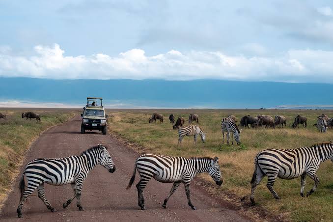 Image number 1 for 8-Day Tanzania Amazing Luxury Safari