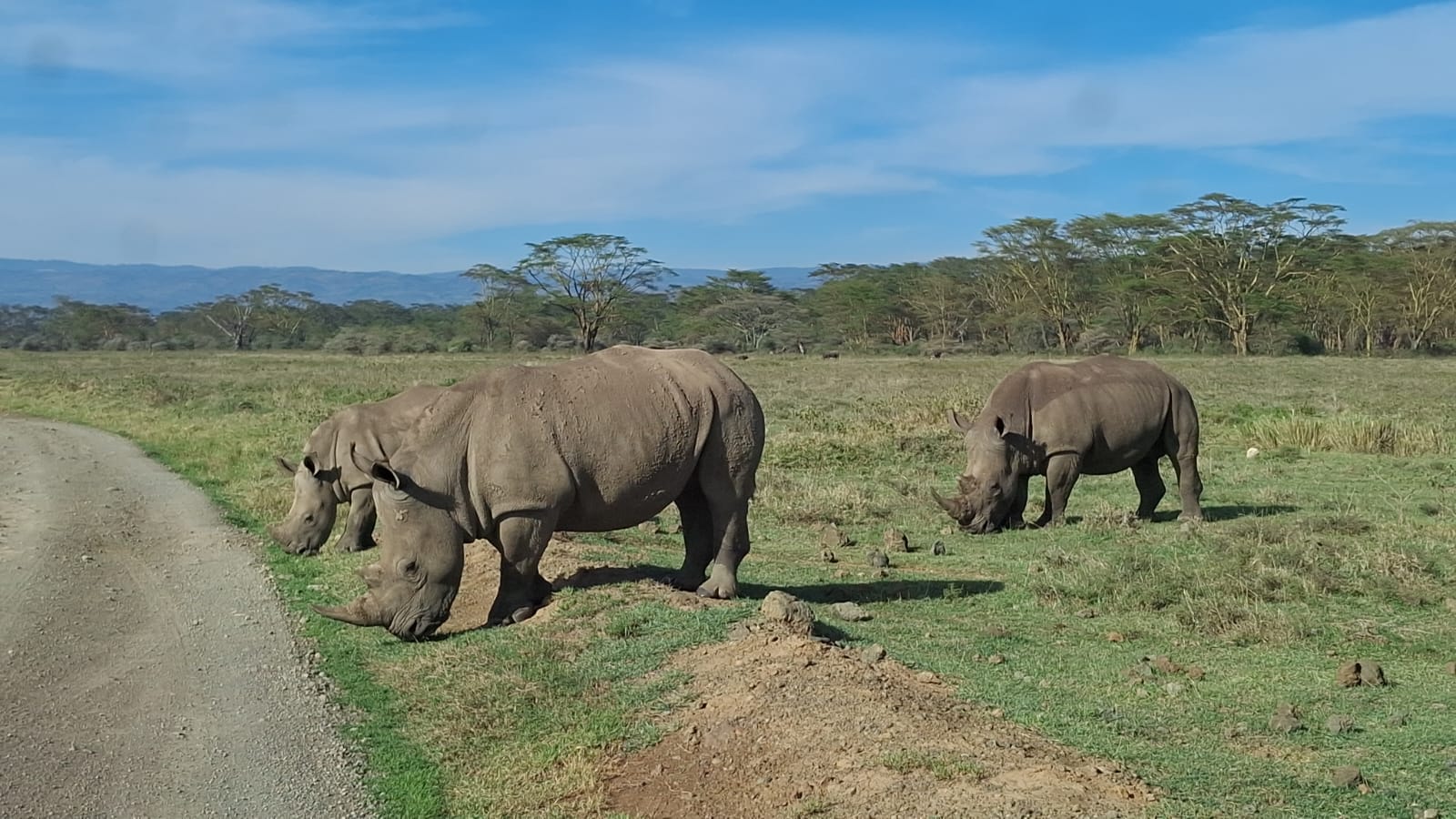 background image for - 4 Days/ 3 Nights Mara Nakuru