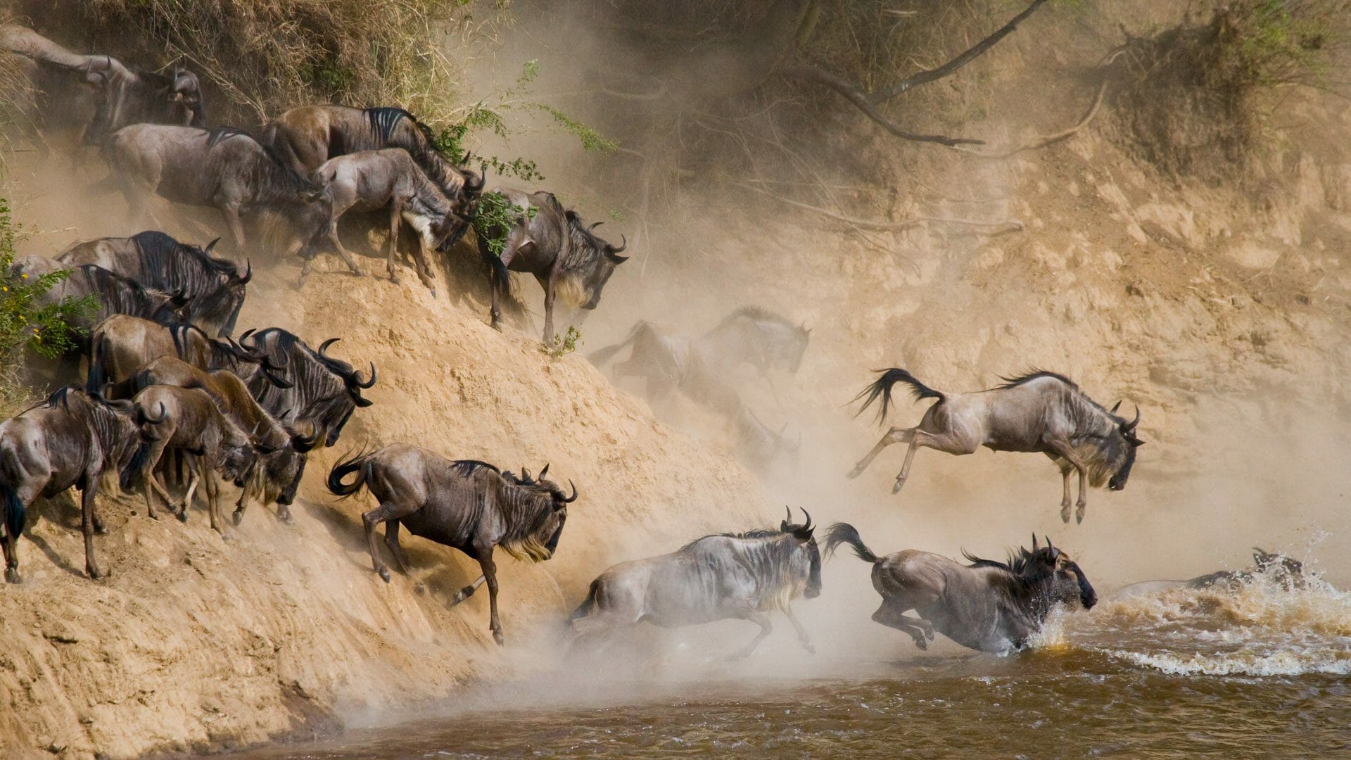 background image for - 4 Days Tarangire, Serengeti & Ngorongoro