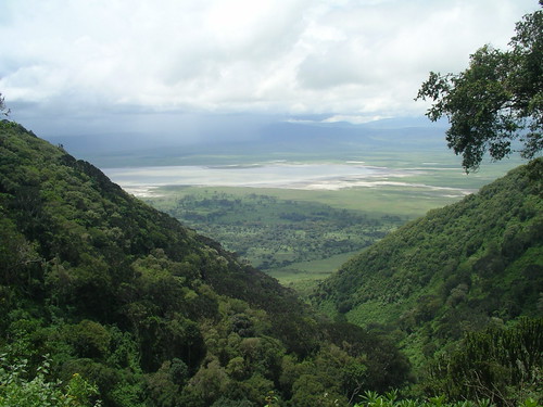 background image for - 2 Days Safari In Tanzania