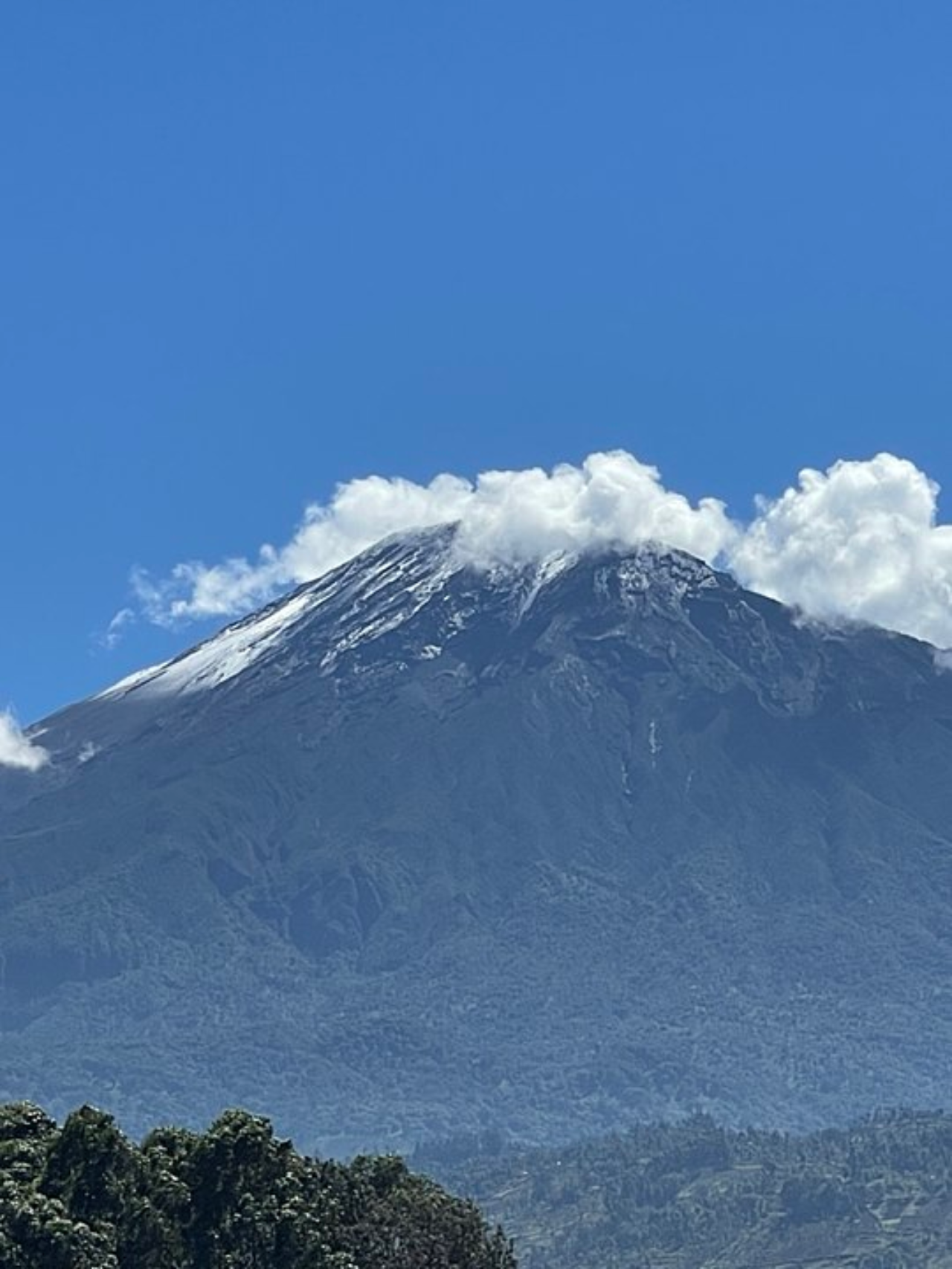 background image for - 7 Days Machame Route Kilimanjaro Climbing Tour 