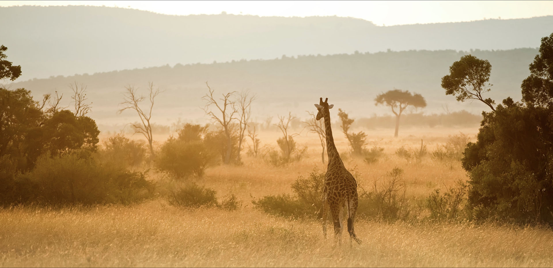 Image number 1 for 7 Days Camping Northern Zone Safari