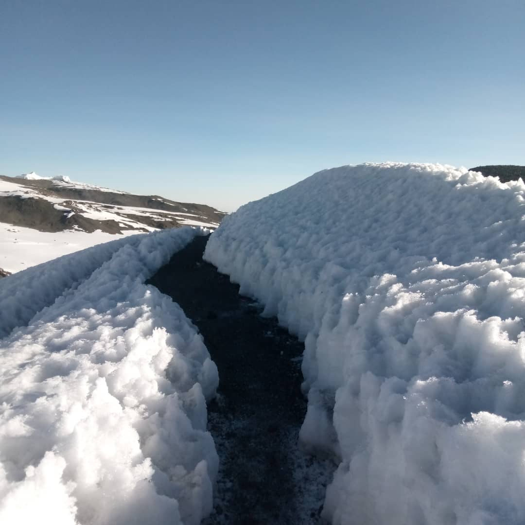 background image for - Climbing  Mt Kilimanjaro  Via Machame Route 