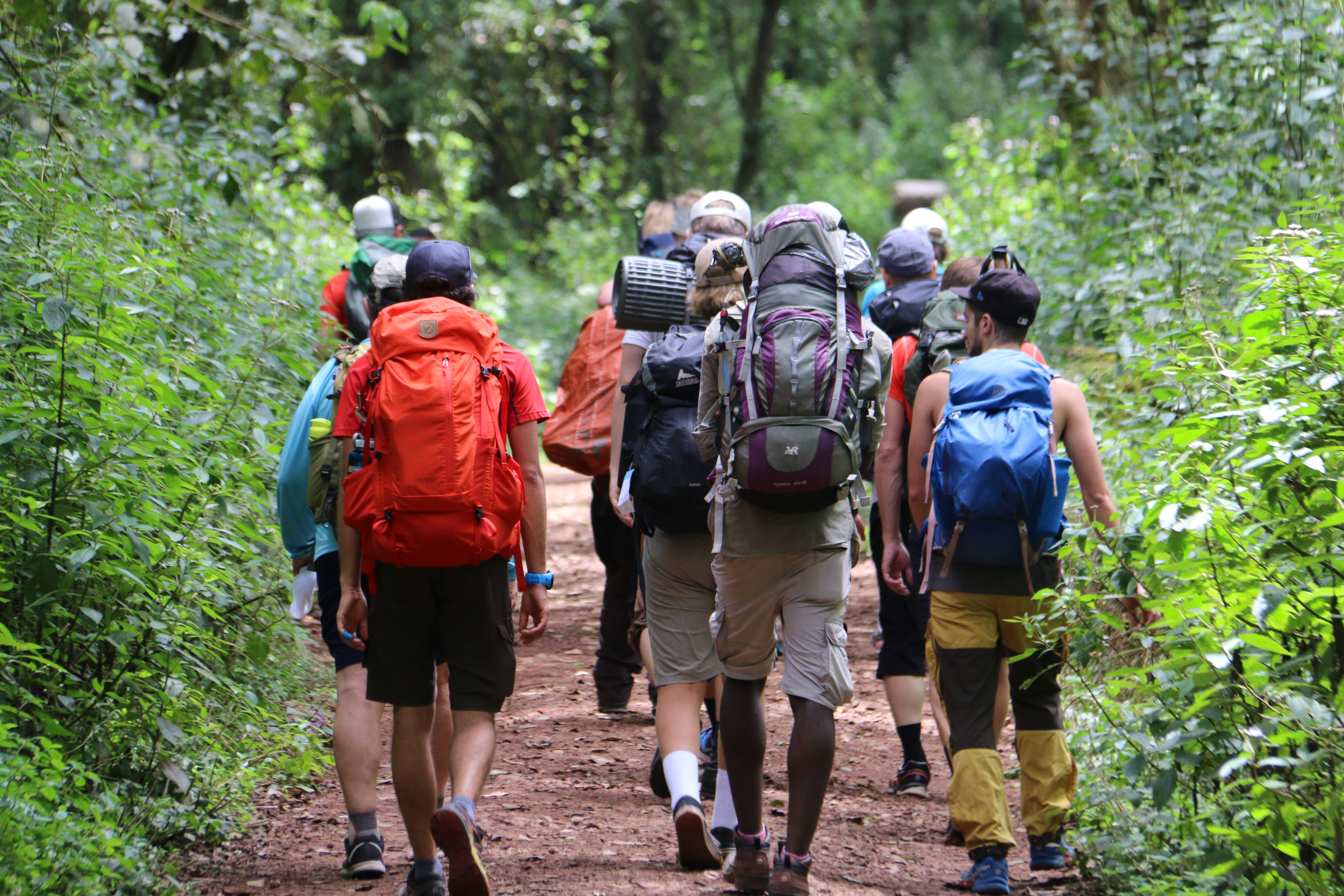 Image number 6 for 6-Day Kilimanjaro Climb Via The Machame Route	