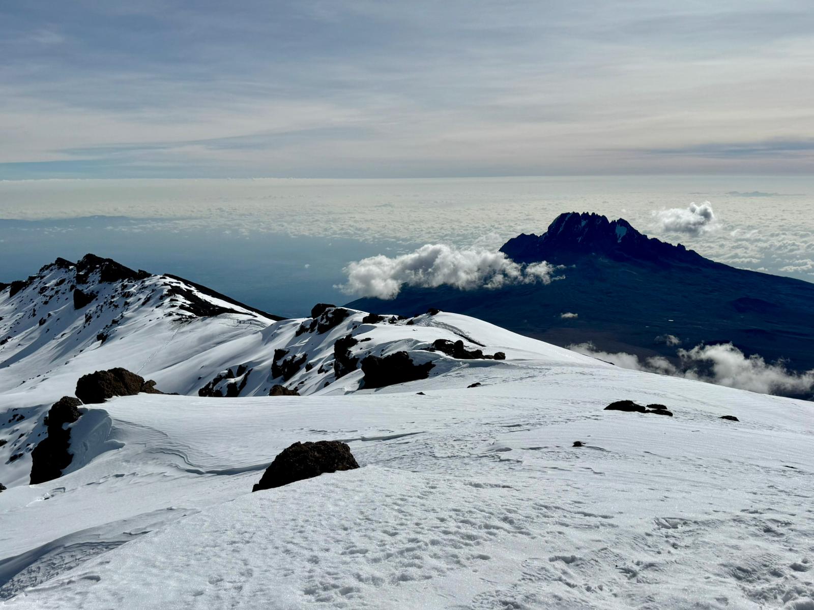Image number 20 for Kilimanjaro Climbing Tour 8 Days Lemosho Route