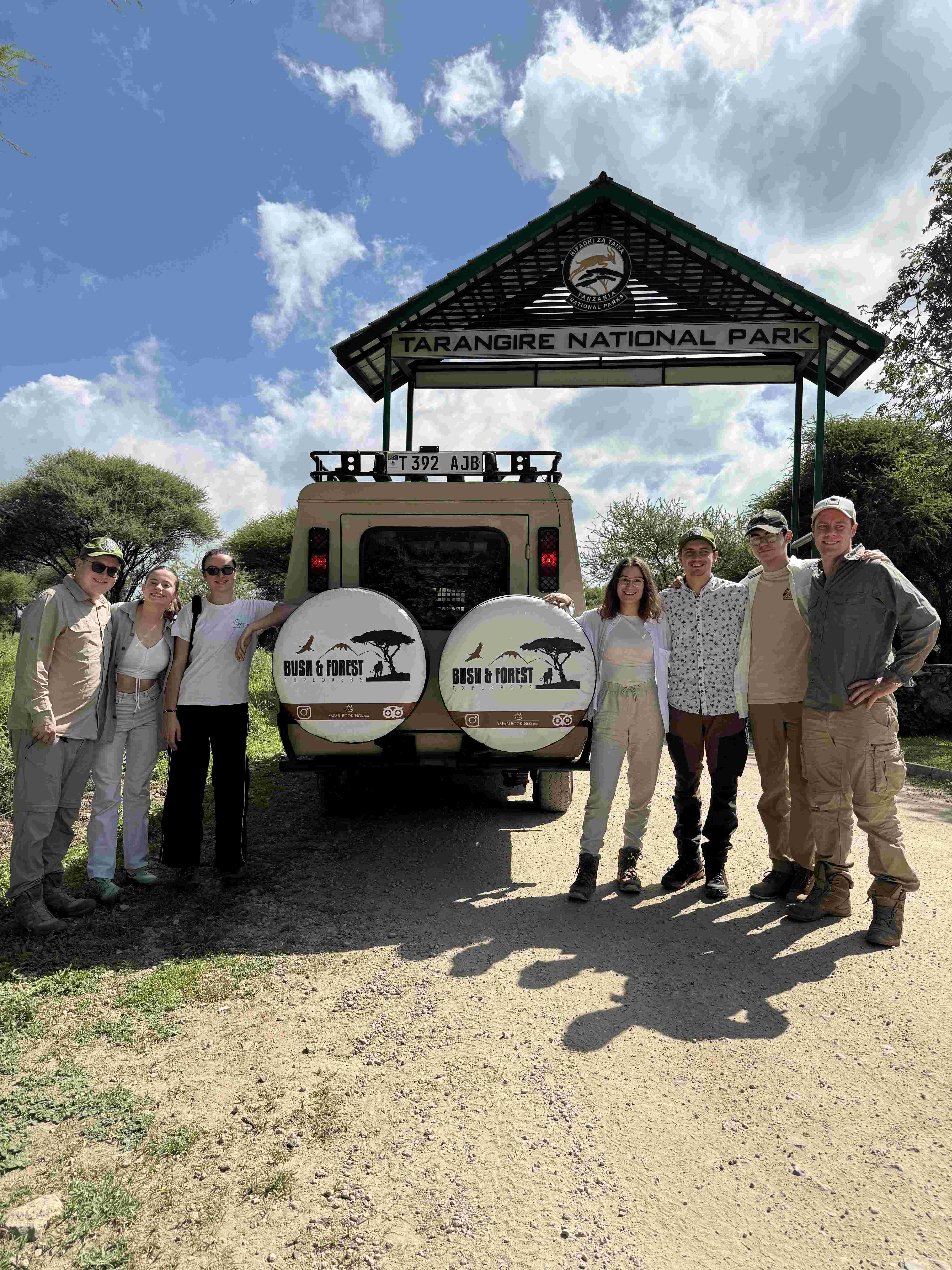 background image for - 6 Days Serengeti Migration Safari